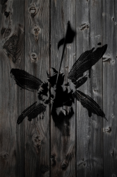 LinkinParkWood.png