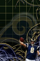 SamBradford.jpg