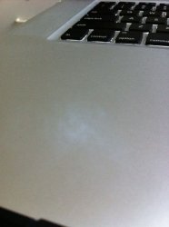 IMG_0020.jpg