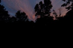 DSC_0136.jpg