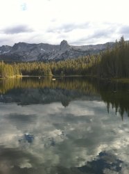 IMG_1145 copy.jpg