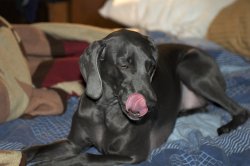 DSC_0002.jpg