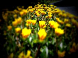 IMG_0022.JPG