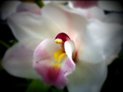 IMG_0028.JPG