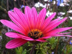 IMG_0029.JPG