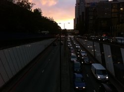 IMG_1314.jpg