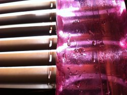 IMG_0665.jpg