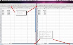 dualexcelfiles_Mac.jpg