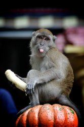 DSC_3990.jpg