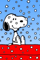Peanuts Holidays (2).jpg