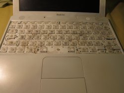IMG_0066.jpg