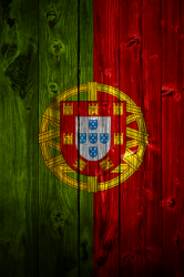 Flag1Wood.png