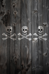 Skull3Wood.png