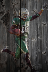 BaylorWood.png