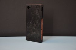 Ex back side.jpg