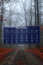 Nov_3_esp.jpg