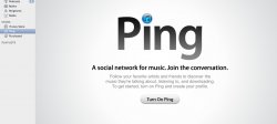 ping.jpg