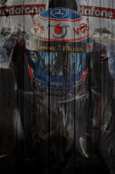 F1RacerWood.png