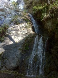 IMG_0311.jpg