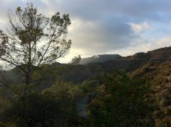 IMG_0351.jpg