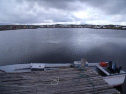 DSCF2664.jpg