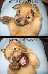 Atfirst I was like.jpg