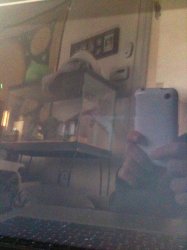 IMG_1486.jpg