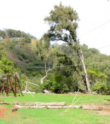 zip-line2.jpg