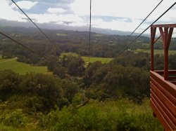 zip-line3.jpg