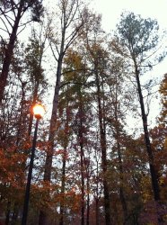 IMG_0933.jpg