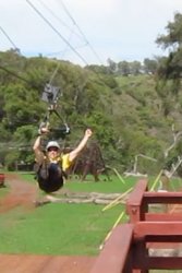 zip-line8.jpg