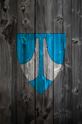 StrangShieldWood.png