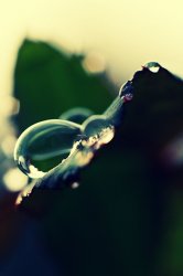 a_rain_drop_by_sunira-d33145i.jpg