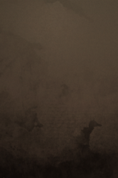 bieyq10.png