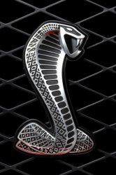 jwarren-Shelby_Cobra.jpg