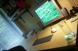 1075478623_1c6806751b_z.jpg