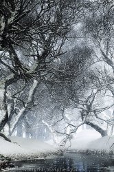canopycreekwinter1640x960.jpg