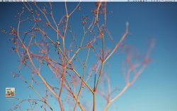 Screen shot 2010-12-01 at 7.40.48 PM.jpg