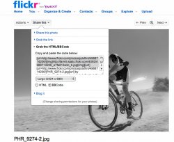 flickr share.jpg