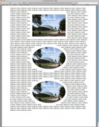 pages-testdoc2.jpg