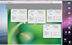 Screen shot 2010-12-16 at 1.03.35 PM.jpg