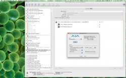 Screen shot 2010-12-16 at 1.18.57 PM.jpg
