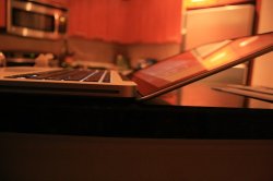 IMG_3919.JPG