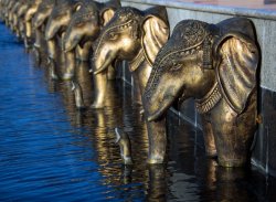 Elephant Wall.jpg