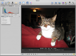 aperture.png