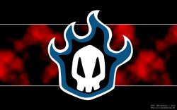 1130674958_bleach_skull_1280_800.jpg