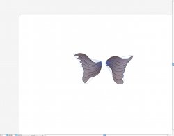 buttefly wing snapshot.jpg