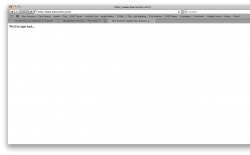 Screen shot 2011-01-10 at 3.39.25 PM.png