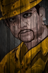 CuriousGeorge Wood.png