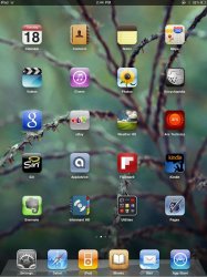 ipad.JPG
